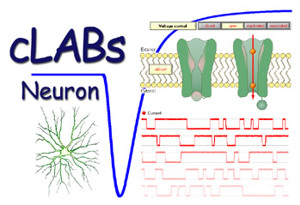 cLABs Neuron (5406)