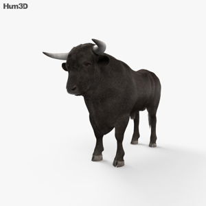 Bull 3D Model