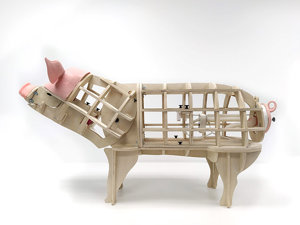 Interlocking Porcine Model Interlocking Porcine Model