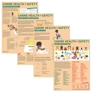 Canine Health & Safety 4 Poster Collection (Laminated) (1)