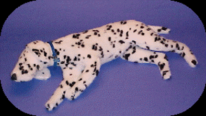 CeePeR Dog CPR Mannikin CeePeR Dog CPR Mannikin