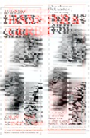 The Lab Hamster and Gerbil