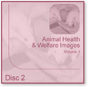 animal Health and Welfare