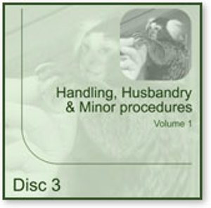 Handling, Husbandry and Minor Procedures