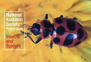 National Audubon Society Pocket Guide Insects And Spiders National Audubon Society Pocket Guide Insects And Spiders