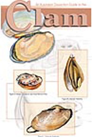 Clam Dissection