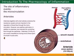Inflamm1 Inflamm1
