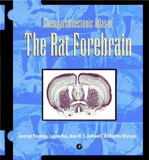 Chemoarchitectonic Atlas of the Rat Forebrain