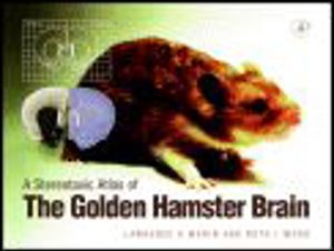 Golden Hamster Brain Golden Hamster Brain