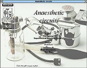 Anaesthetic Circuit Anaesthetic Circuit