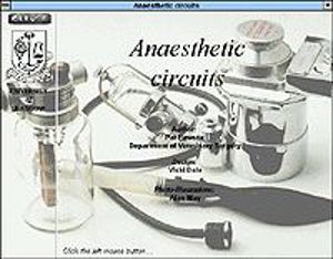 Anaesthetic Circuit