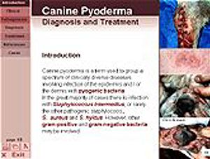 Canine Pyoderma