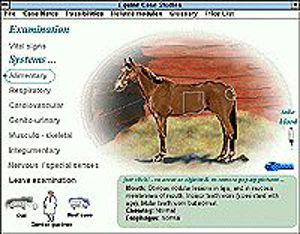 Equine Case Studies
