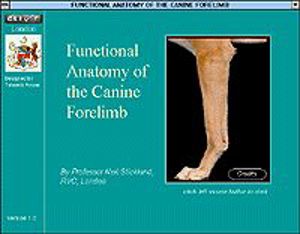 Canine Forelimb, CLIVE Canine Forelimb, CLIVE