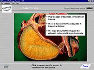 General Pathology Tutorial General Pathology Tutorial