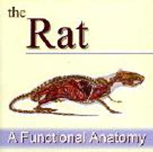 The Rat - A Functional Anatomy