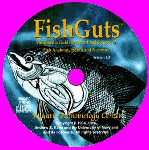 FishGuts (CD-ROM, record 3711)