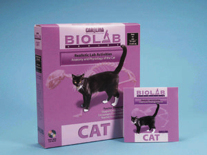 BioLab  Cat