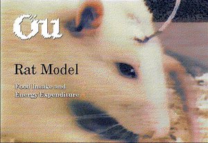 Rat Model