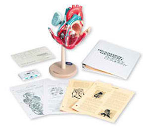 Heart Multimedia Kit