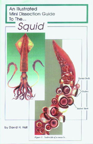 Illustrated Dissection Guides Squid Guide