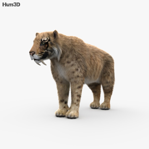 Saber Toothed Tiger 3D Model