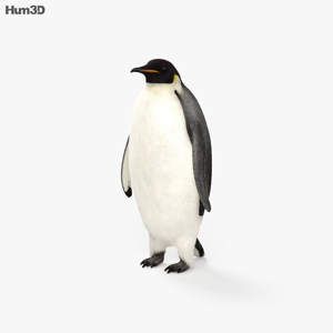 Emperor Penguin 3D Model