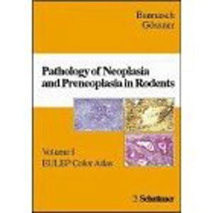 Pathology of Neoplasia (6687)