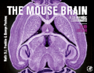 The Mouse Brain in Stereotaxic (7988)