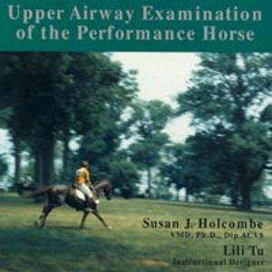 Upper Airway Examination Horse (5251)