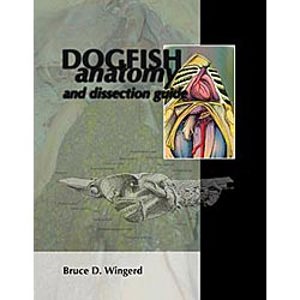 Dogfish Anatomy and Dissection (8094)