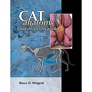 Cat Anatomy and Dissection Guide (8095)