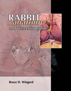 Rabbit Anatomt and Dissection Guide