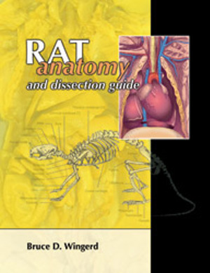 Rat Anatomy and Dissection Guide