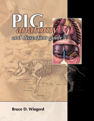 Pig Anatomy and Dissection Guide