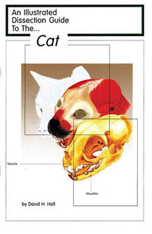 An Illustrated Dissection Guide to the Cat