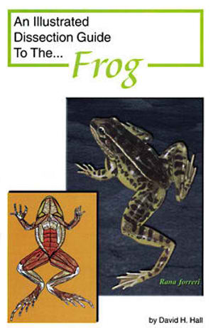 An Illustrated Dissection Guide to the Frog