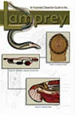 An Illustrated Dissection Guide to the Lamprey