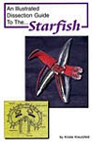 Illustrated Dissection Guide to the Starfish