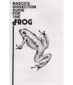 frog dissection instructions