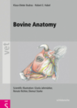 Bovine Anatomy (8128) Bovine Anatomy (8128)