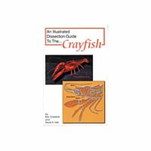 Dissection Guide to the Crayfish (8110)