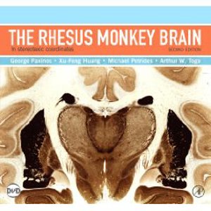 The Rhesus Monkey Brain in (6790) The Rhesus Monkey Brain in (6790)