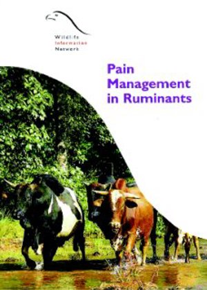 Pain Management in Ruminants (5828)