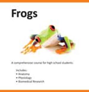 Frog (5834) from AALAS