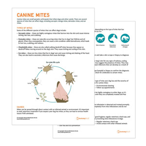 Canine Mites Pet Owner Education Handout (Printable PDF) Canine Mites Pet Owner Education Handout (Printable PDF)