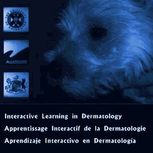 Interactive Learning in Dermatology (4825) Interactive Learning in Dermatology (4825)
