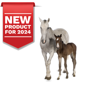 Equine Dystocia Simulator Equine Dystocia Simulator