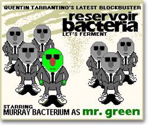 About Murray the Bacterium 4358