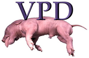 Virtual Pig Dissection 5240